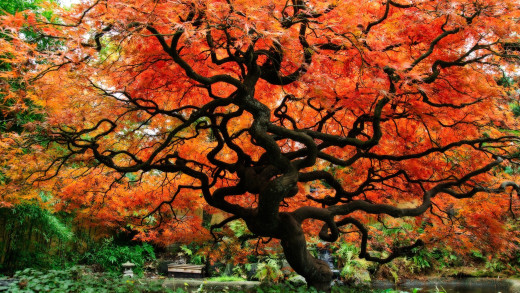 536288 (a): :3000x1688